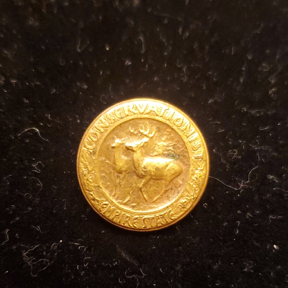 Gold Tone Conservationist Empire State Lapel Pin